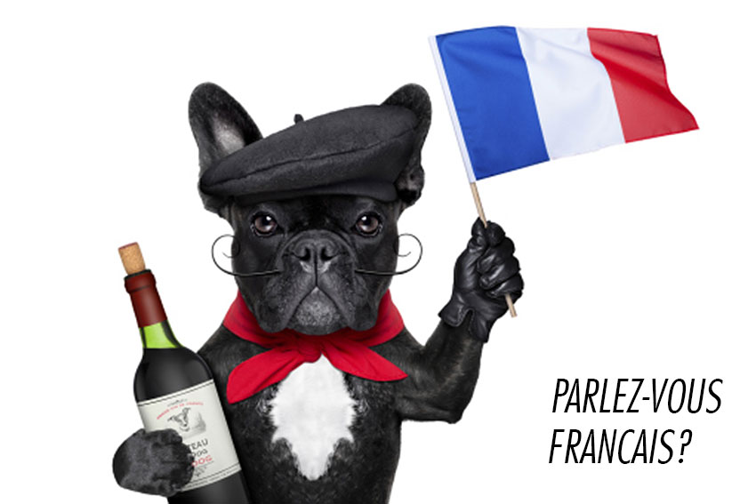 How to tell you are a French Bulldog owner 6
