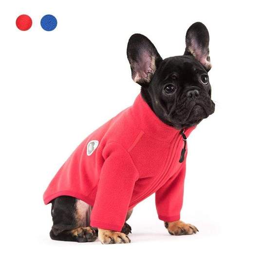 frenchie sweater
