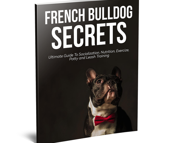 french bulldog essentials