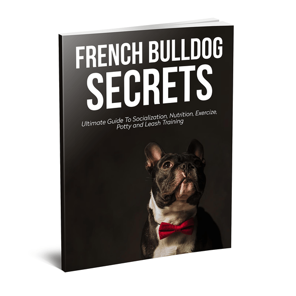 french bulldog secrets