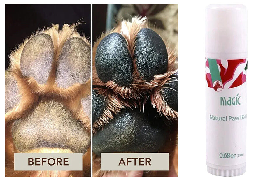 Frenchie World™ Paw Protection Stick