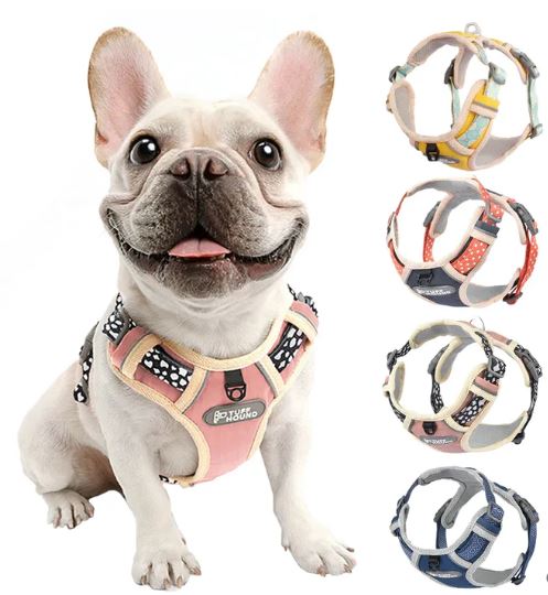 travel with a frenchie