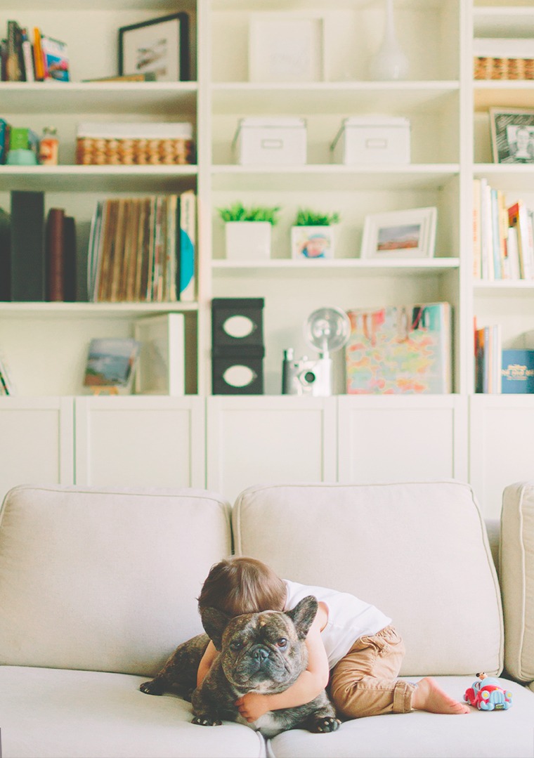 french bulldogs and babies