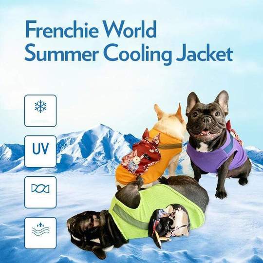 french bulldog shirts