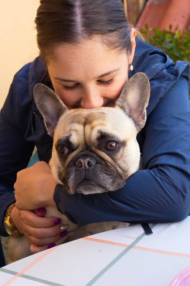 How Do You Treat French Bulldog Skin Fold Dermatitis