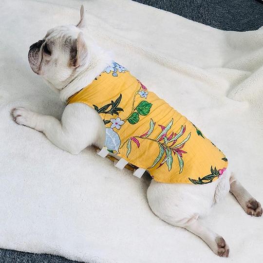french bulldog shirts