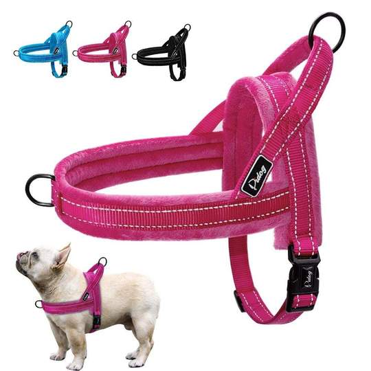 best harness for a french bulldog