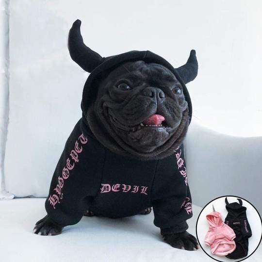 frenchie costumes