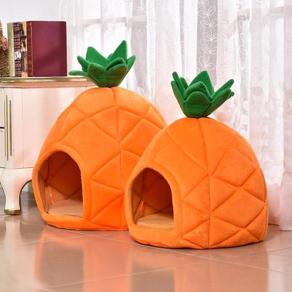 beds for french bulldogs