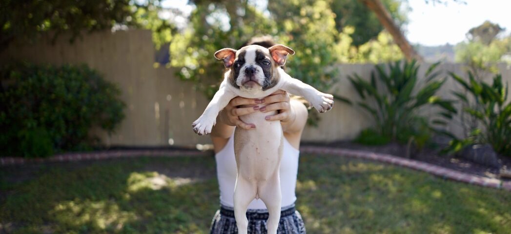 bulldog nail clippers