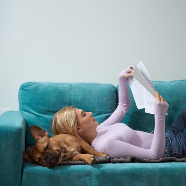 Best Pet Insurance For A French Bulldog Secure Now!