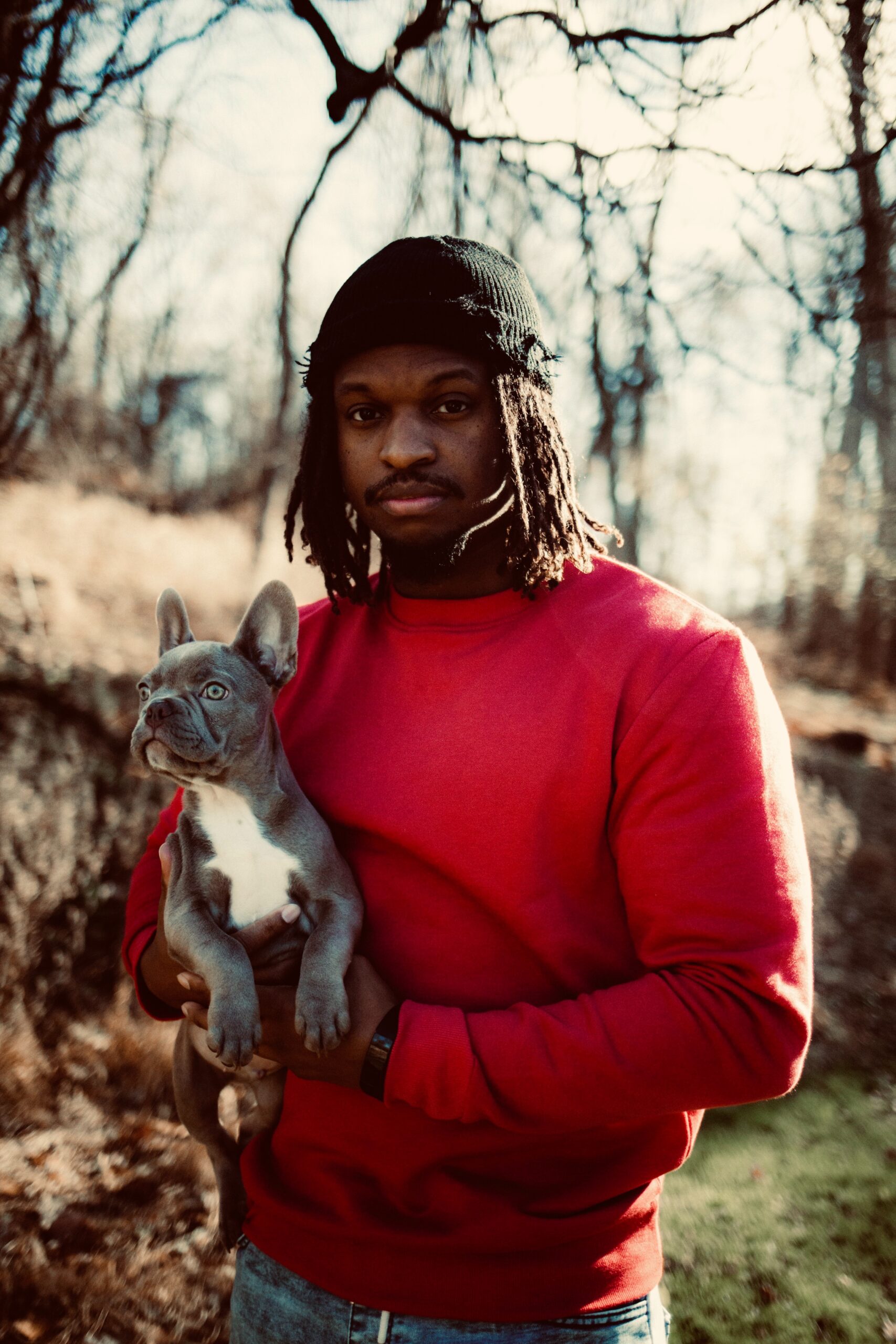 diabetes in french bulldogs