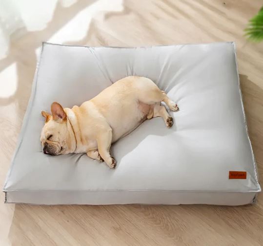 french bulldog bed