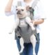french bulldog carriers