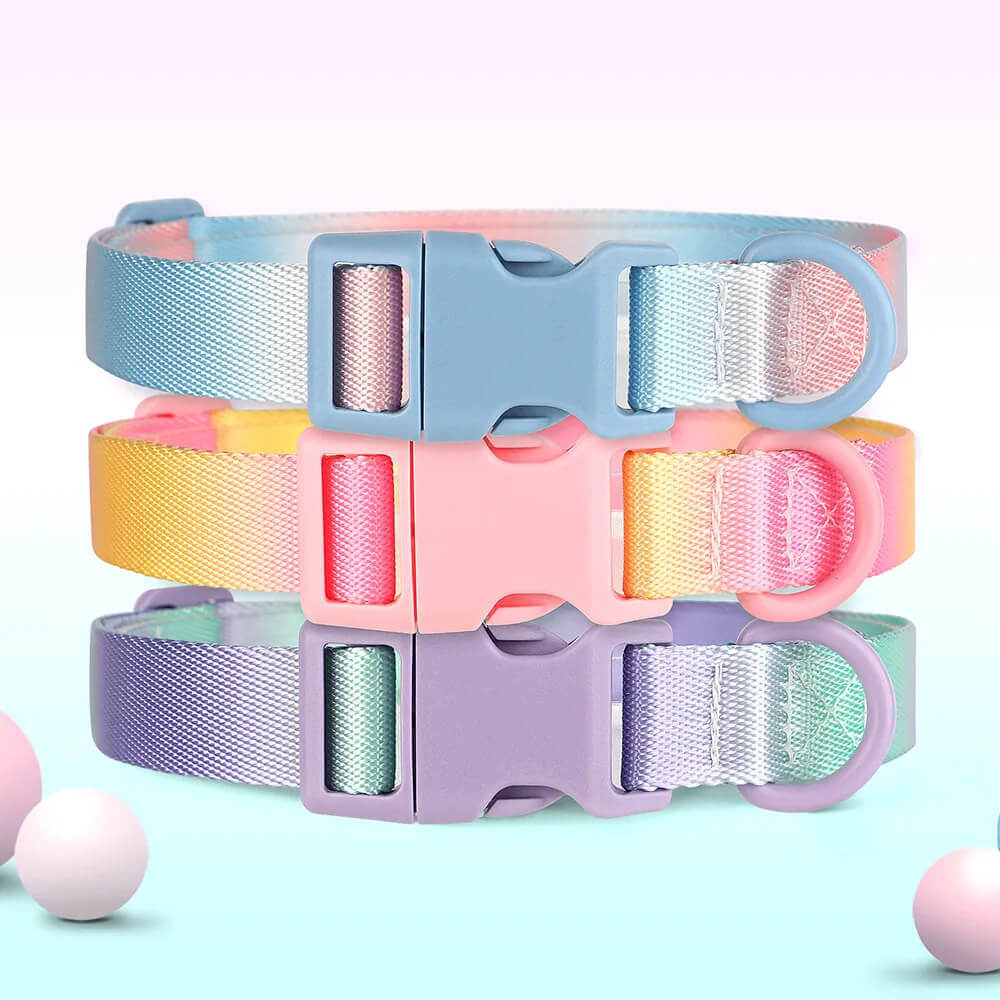 Three stacked Frenchie gradient collars against pastel background