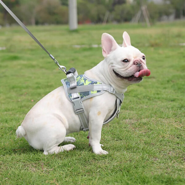 Cream French bulldog sitting on the grass field and wearing camo green French Bulldog Harness With Handle