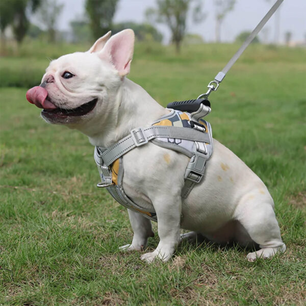 Cream French bulldog sitting on the grass field and wearing camo yellow French Bulldog Harness With Handle