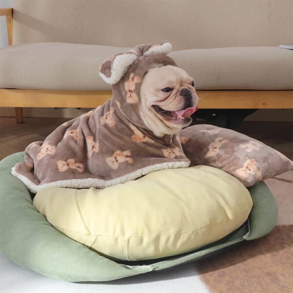 Cream French Bulldog lying in his bed while wearing brown hooded blanket with bears pattern