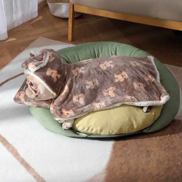 Cream French Bulldog sitting while wearing brown hooded blanket with bears pattern