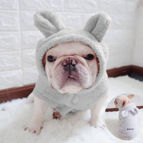 Cream French bulldog sitting and wearing gray Fuzzy French Bulldog Hoodie