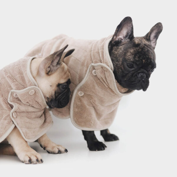 Two French bulldogs wearing brown Hug-a-Bulldog Cozy Towel Robe against white background