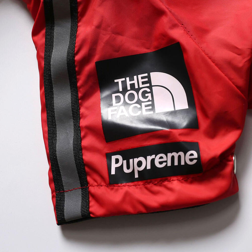 Close up image of red Designer Hooded French Bulldog Windbreaker showing print and fabric