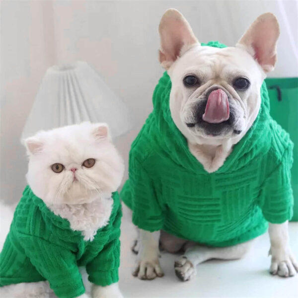 White furry cat and cream French Bulldog wearing Green French Bulldog Terry Hoodies