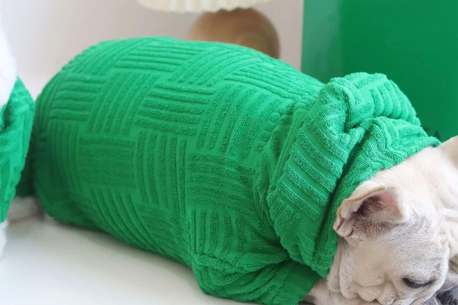 French bulldog resting and wearing Green French Bulldog Terry Hoodie
