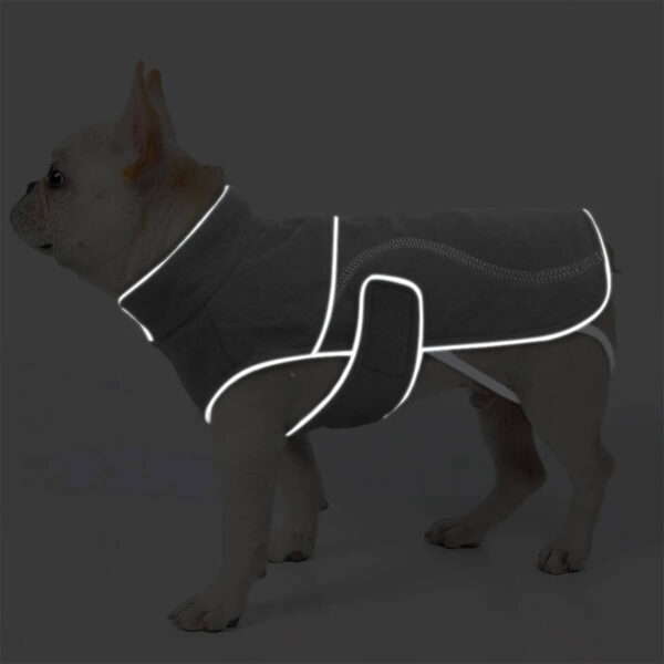French Bulldog puppy wearing Therapeutic Calming Vest for French Bulldogs that's glow in the dark