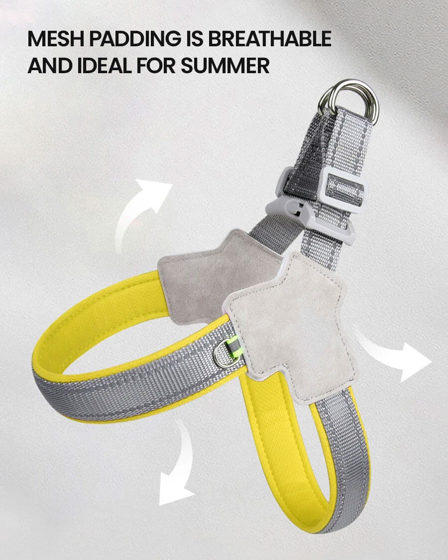 No Pull Reflective Frenchie Harness showing construction and fabrics