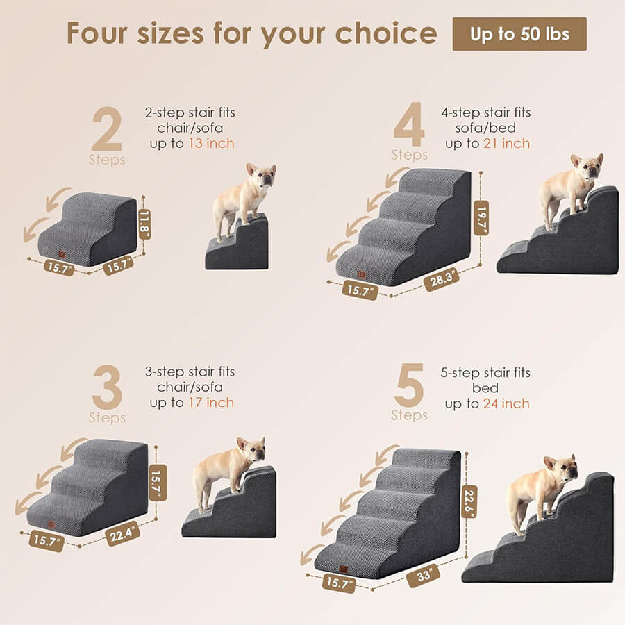 Dog Step Ramp For Frenchies infographic showing sizing