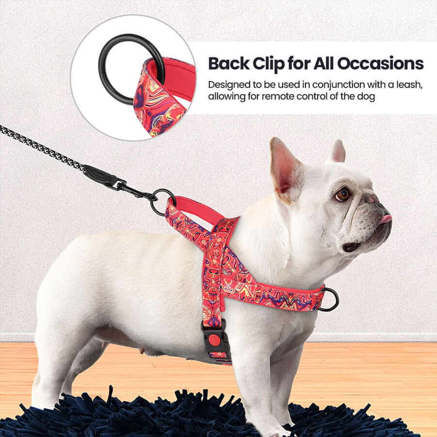White French bulldog wearing pink Frenchie Harness With Handle