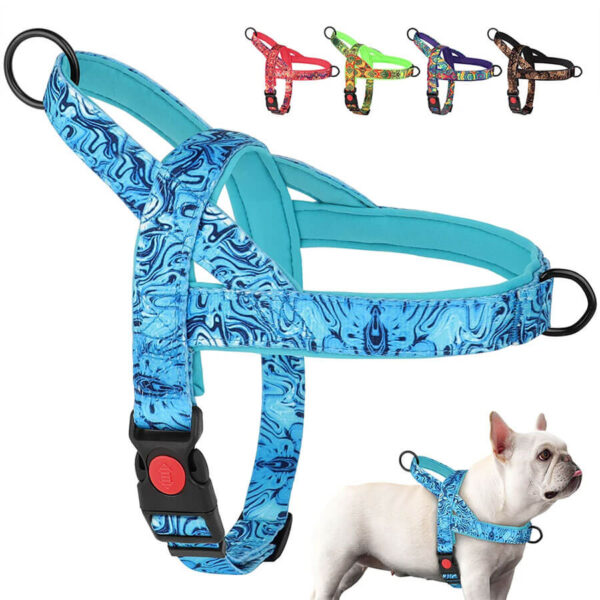 Frenchie Harness With Handle