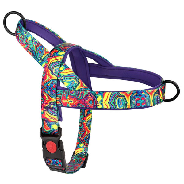 Frenchie Harness With Handle in violet color