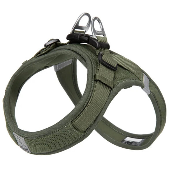 Mesh Frenchie Harness
