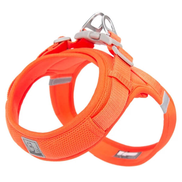 Orange Mesh Frenchie Harness white background