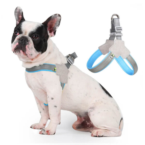 Baby Blue No-Pull Reflective Frenchie Harness on French Bulldog