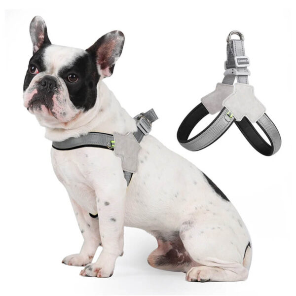 Black No-Pull Reflective Frenchie Harness on French Bulldog