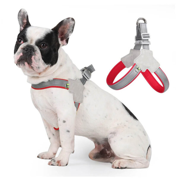 Red No-Pull Reflective Frenchie Harness on French Bulldog
