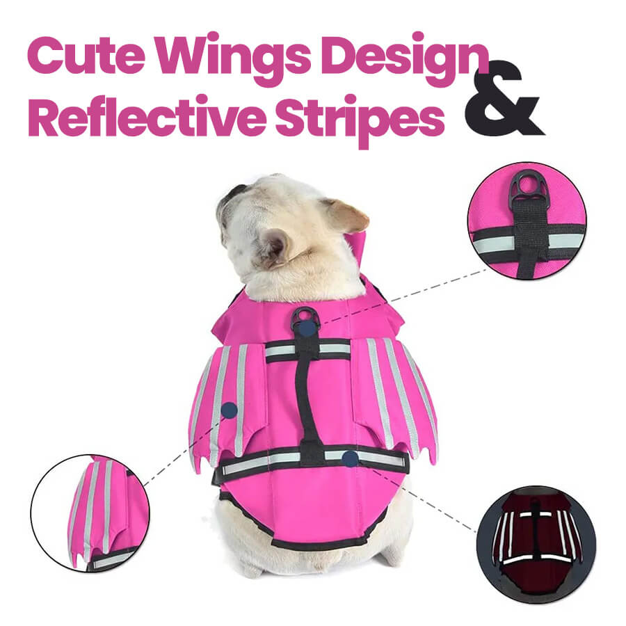 AquaPup Frenchie Life Vest with details shown