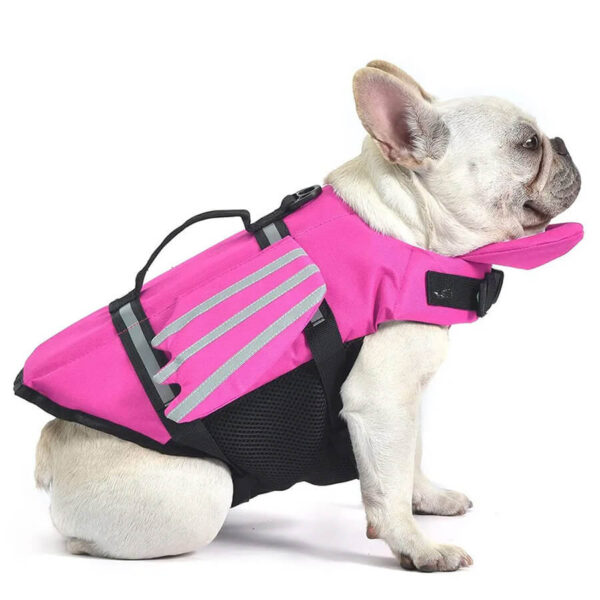 AquaPup Frenchie Life Vest