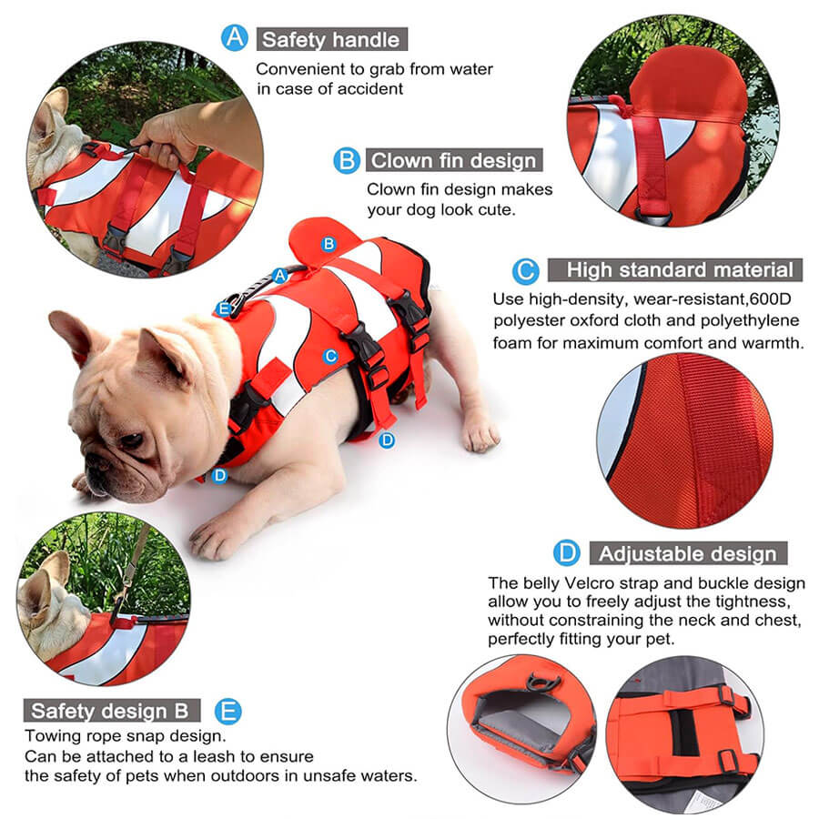 Clownfish Frenchie Swim Vest with thumbnail product details