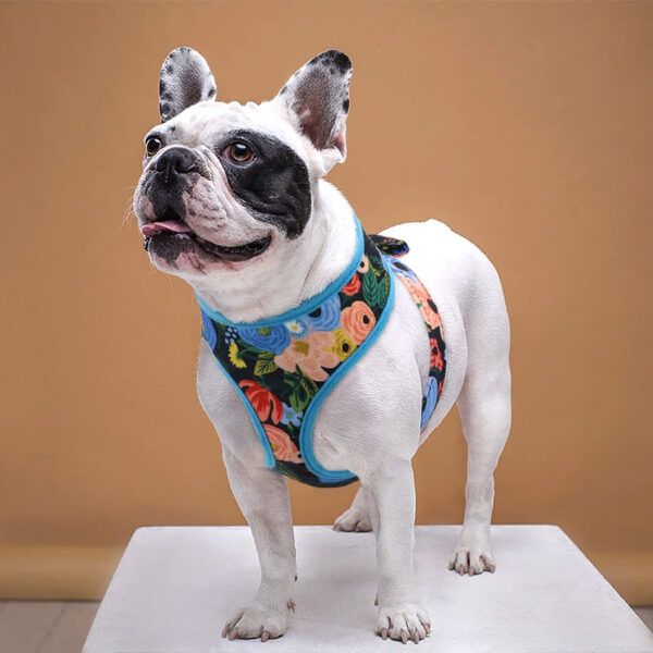 Floral Frenchie Vest Harness