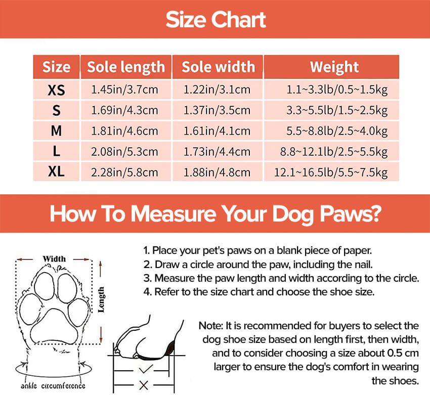 French Bulldog Sneakers Size Chart and manual