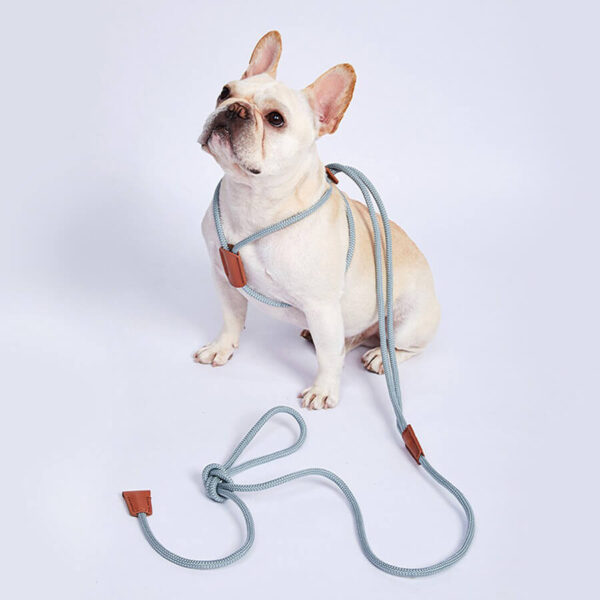 Rope French Bulldog Harness