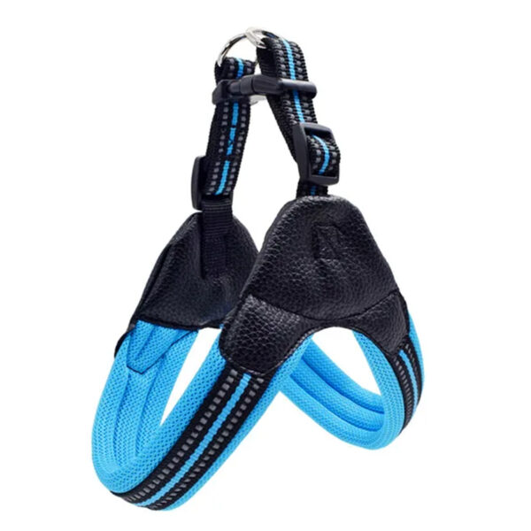 Step In Frenchie Harness in blue color