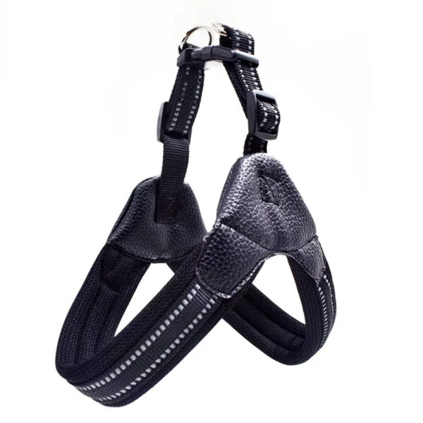 Step In Frenchie Harness in black color