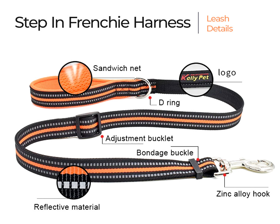 Matching leash for Step In Frenchie Harness