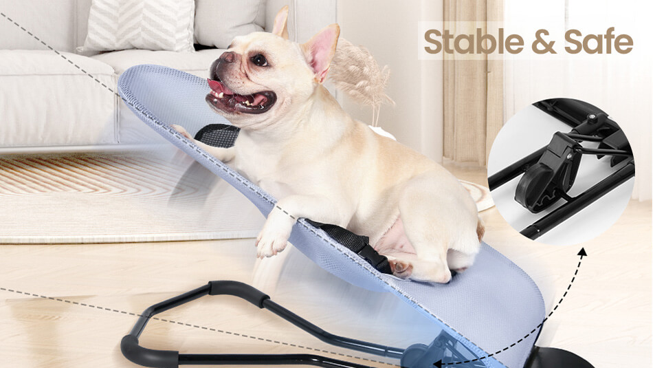 Cream French bulldog relaxing in a rocking chair